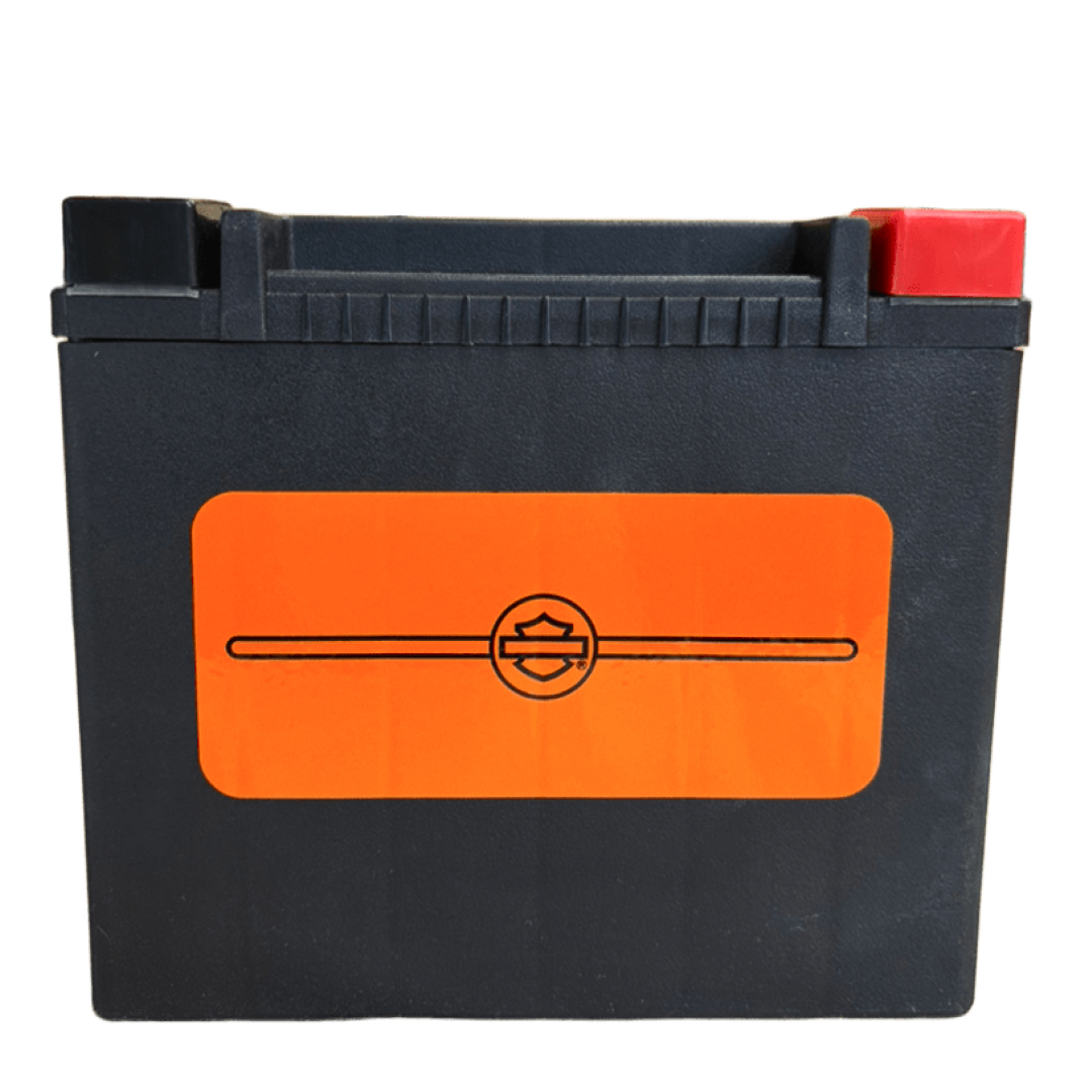 ハーレーパーツ＆用品・ラッキースカル / 【ハーレー純正】 H-D・AGM