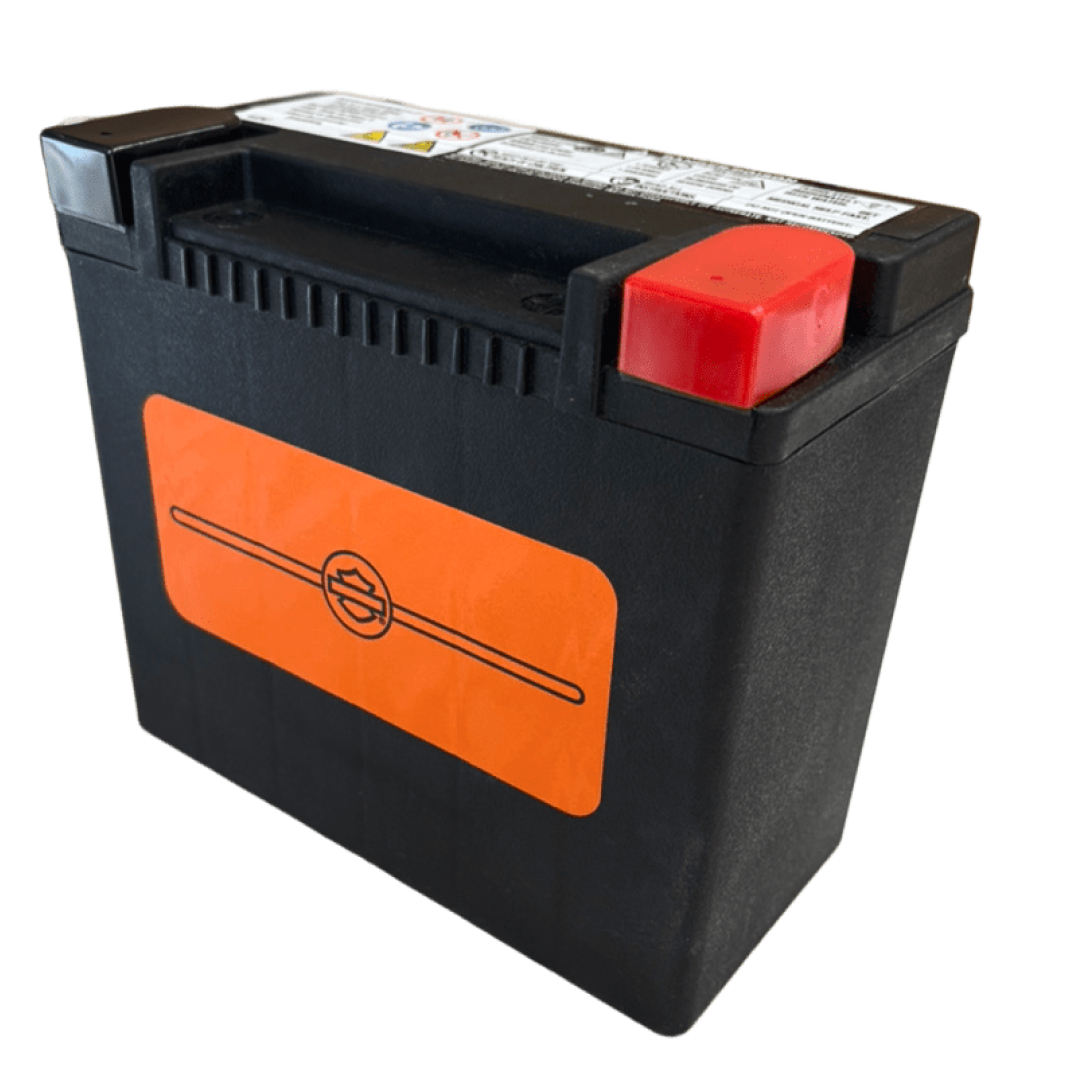 ハーレーパーツ＆用品・ラッキースカル / 【ハーレー純正】 H-D・AGM